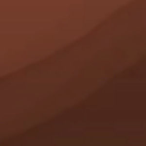 Meet your Posher, Breonna